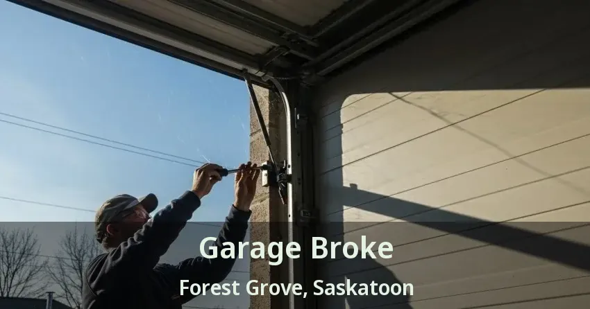 Garage Broke Forest Grove, Saskatoon - SK