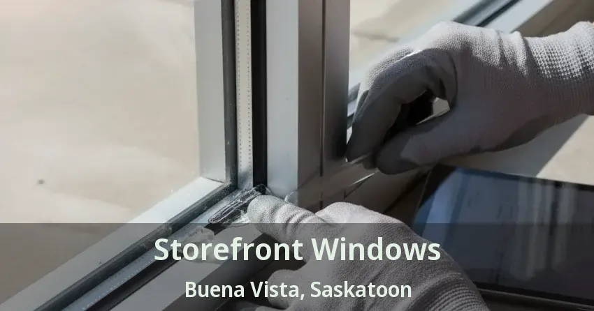 Storefront Windows Buena Vista, Saskatoon - SK